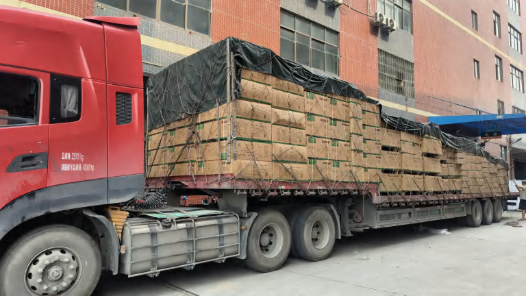 beiaole factory Logistics-Shipment.png