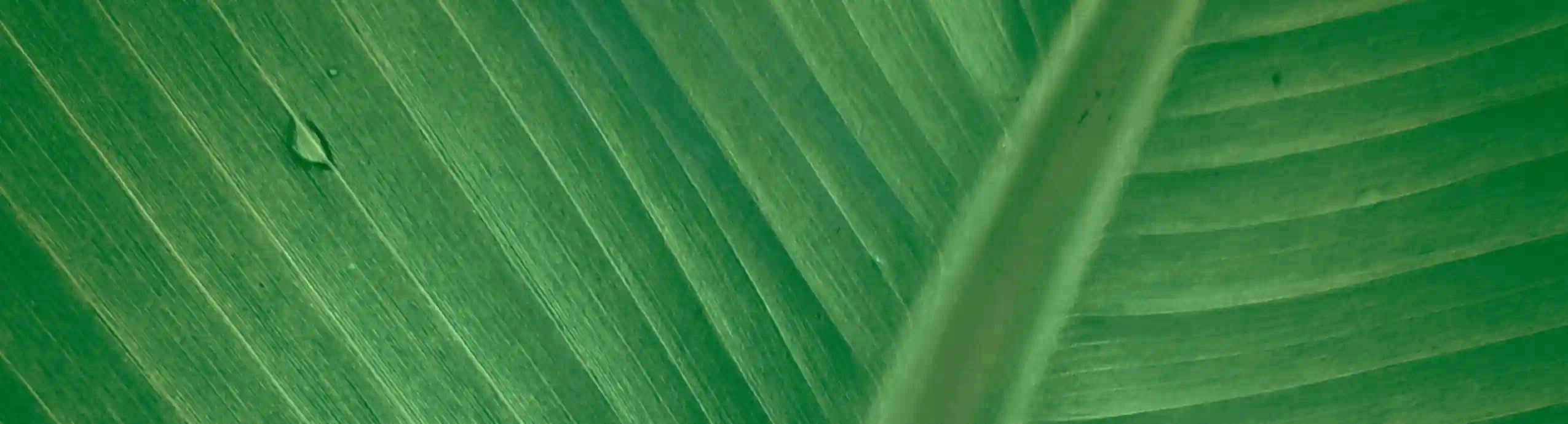 Commercial Energy Recovery Ventilator